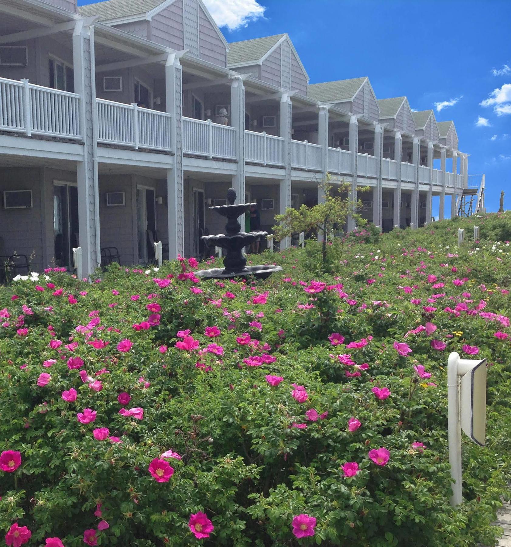 Ocean Walk Hotel Old Orchard Beach Eksteriør billede